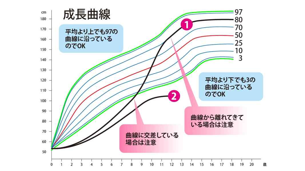 うちの子供の身長と体重は平均的 容姿や病気の悩みの防止法 Mother S Select